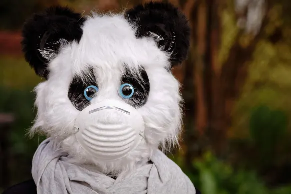 برونتو كازينو الدعم